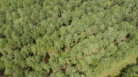 Recreational Waterfront Land for Sale in Hyde County - image 15