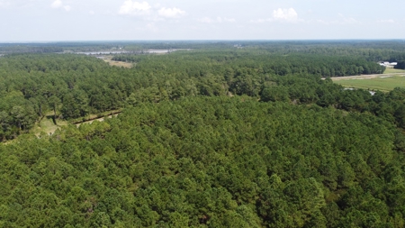 Recreational Timberland for Sale in Hyde Co, Scranton, NC - image 13