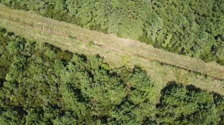 Recreational Timberland for Sale in Hyde Co, Scranton, NC - image 15