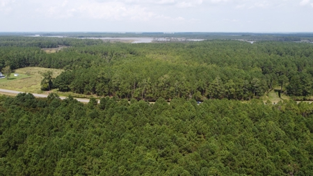 Recreational Timberland for Sale in Hyde Co, Scranton, NC - image 14