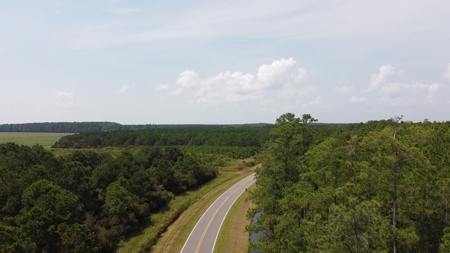 Recreational Timberland for Sale in Hyde Co, Scranton, NC - image 2