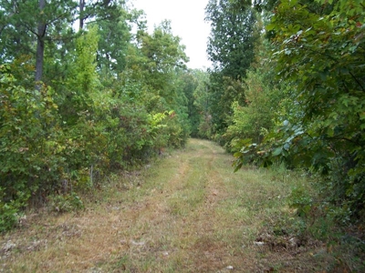Quality Hunting Property For Sale Arkansas Ozarks - image 17
