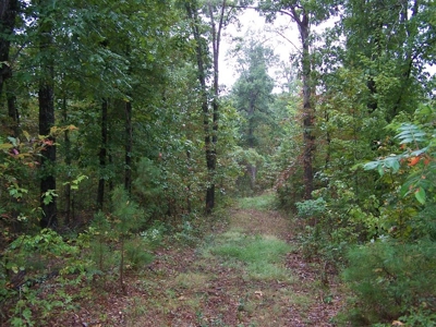 Quality Hunting Property For Sale Arkansas Ozarks - image 1