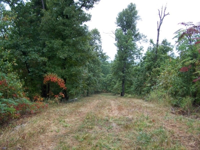 Quality Hunting Property For Sale Arkansas Ozarks - image 10