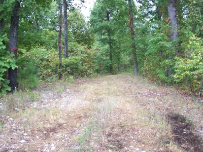 Quality Hunting Property For Sale Arkansas Ozarks - image 16