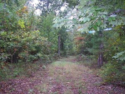 Quality Hunting Property For Sale Arkansas Ozarks - image 2