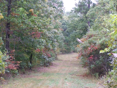 Quality Hunting Property For Sale Arkansas Ozarks - image 13