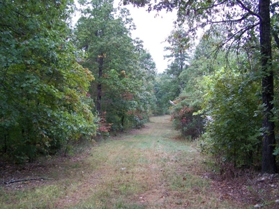 Quality Hunting Property For Sale Arkansas Ozarks - image 12