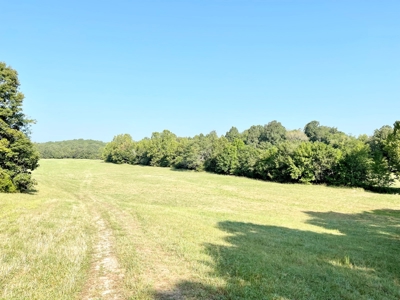 Fulton County Arkansas Farm for sale - image 40