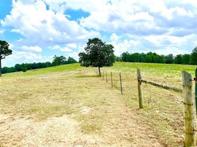 Fulton County Arkansas Farm for sale - image 37