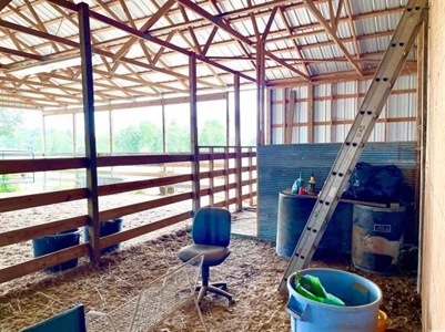 Fulton County Arkansas Farm for sale - image 27