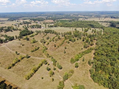 Fulton County Arkansas Farm for sale - image 50