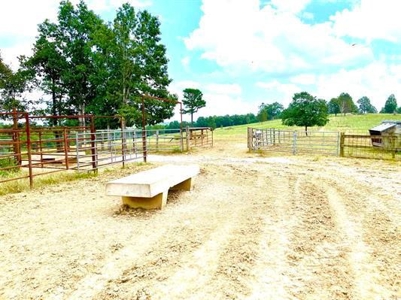 Fulton County Arkansas Farm for sale - image 24