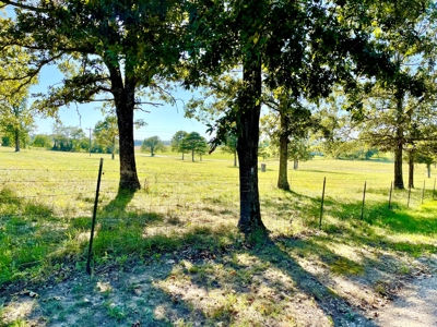 Fulton County Arkansas Farm for sale - image 43