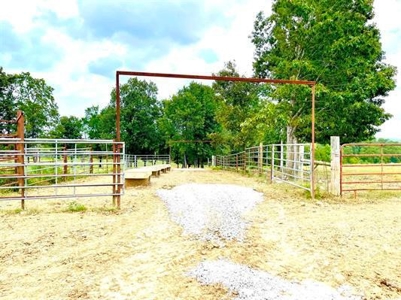 Fulton County Arkansas Farm for sale - image 36