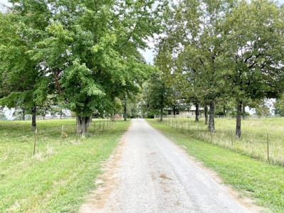 Fulton County Arkansas Farm for sale - image 41