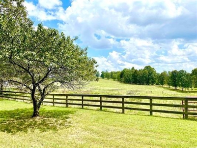 Fulton County Arkansas Farm for sale - image 3