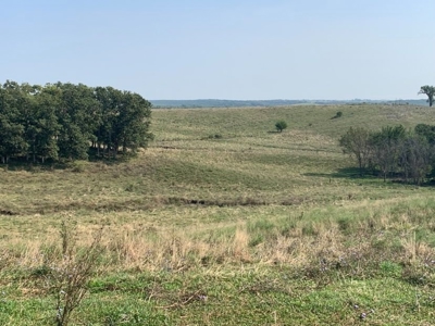 Farm For Sale - image 26