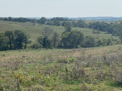 Farm For Sale - image 11