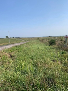 Farm For Sale - image 31
