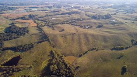 Farm For Sale - image 40