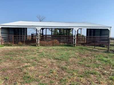 Farm For Sale - image 35