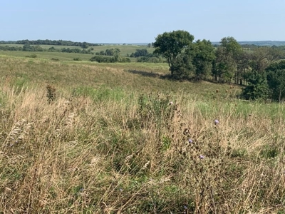 Farm For Sale - image 7