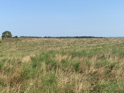 Farm For Sale - image 22