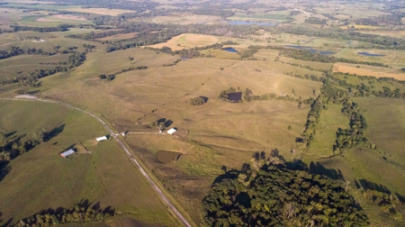 Farm For Sale - image 42
