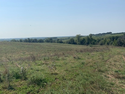 Farm For Sale - image 28