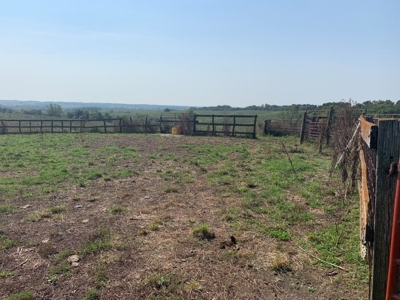 Farm For Sale - image 13