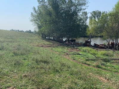 Farm For Sale - image 8