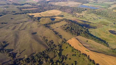 Farm For Sale - image 45