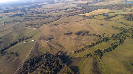 Farm For Sale - image 43