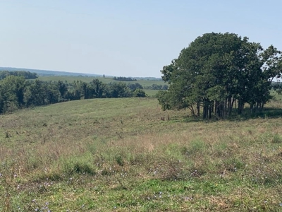 Farm For Sale - image 32
