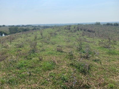 Farm For Sale - image 3