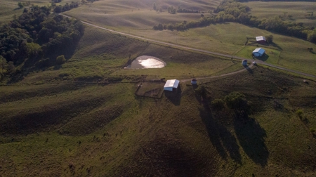 Farm For Sale - image 48