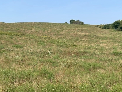 Farm For Sale - image 16