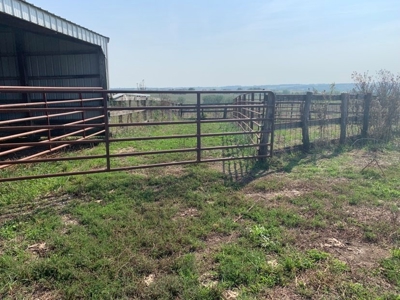 Farm For Sale - image 4