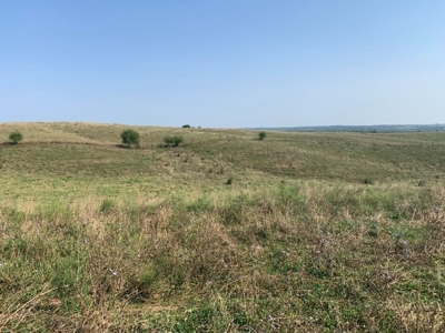 Farm For Sale - image 14