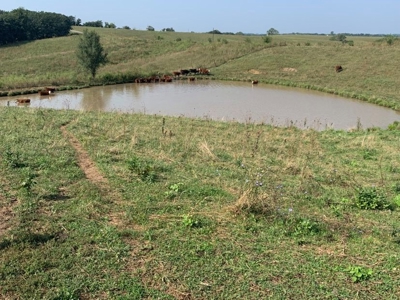 Farm For Sale - image 30