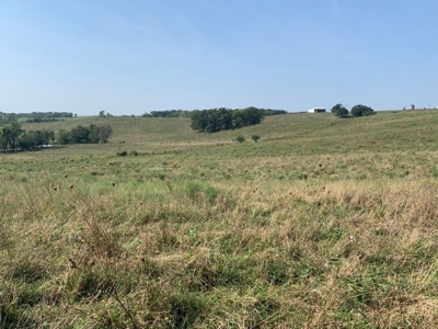 Farm For Sale - image 36