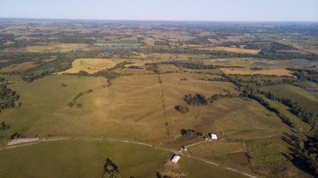 Farm For Sale - image 38