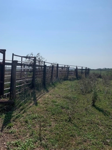 Farm For Sale - image 6