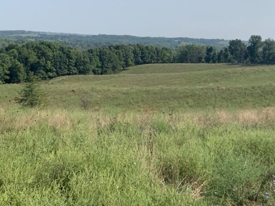 Farm For Sale - image 20