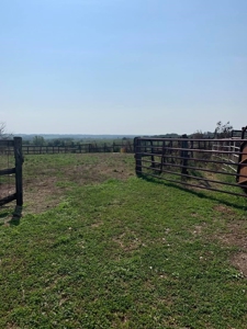 Farm For Sale - image 27
