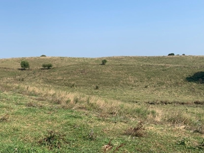 Farm For Sale - image 33