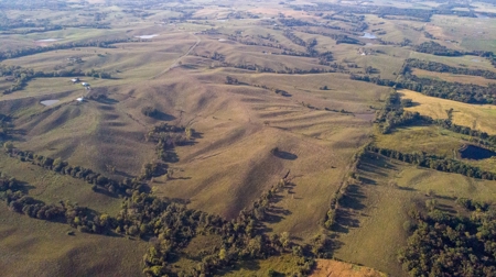 Farm For Sale - image 46