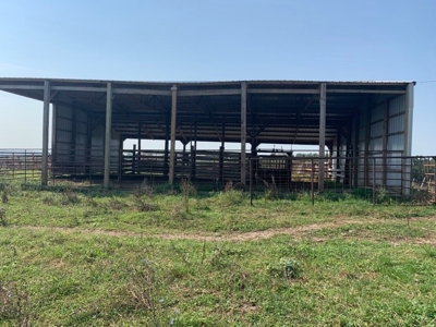 Farm For Sale - image 9
