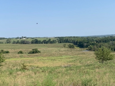 Farm For Sale - image 29